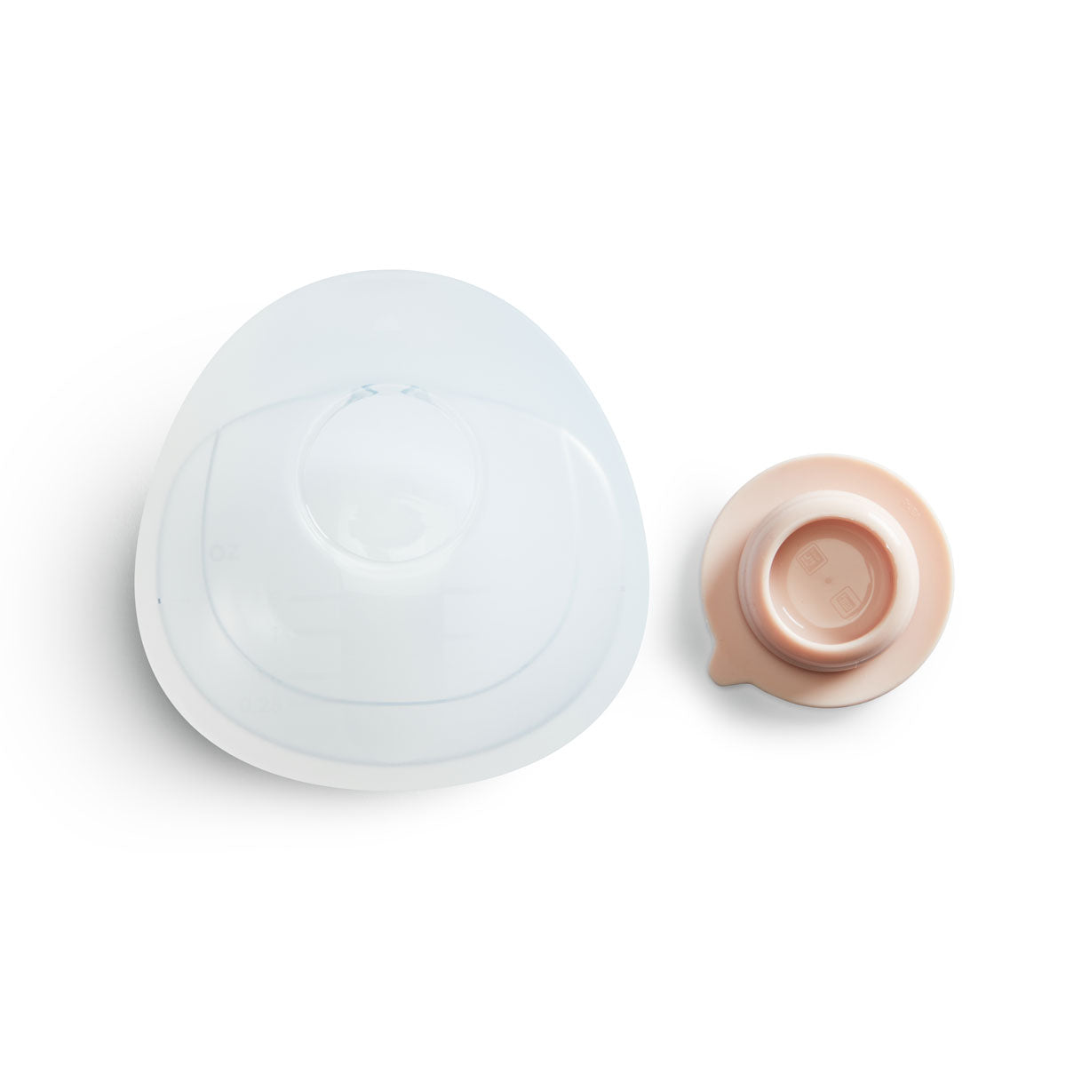 Bottom view of a white Munchkin toddler plate and a small pink bowl, showing suction bases on a white background.