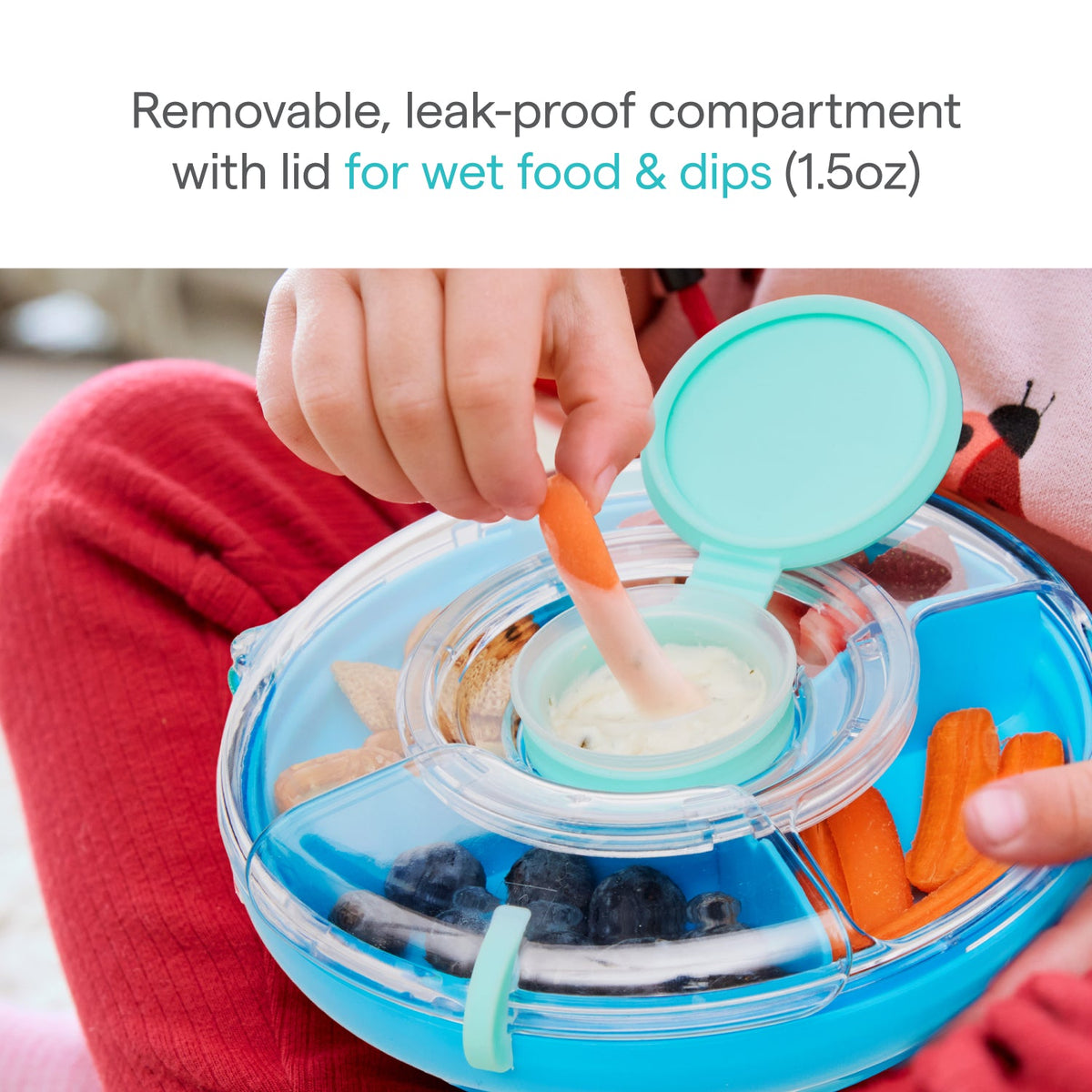 Snack Wheel™ 5 Compartment Container